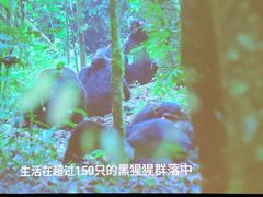 -金色印象·4K影院式足体养生(南滨印象店)