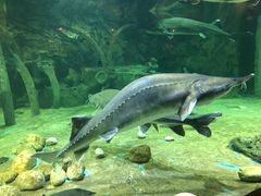 -华夏文旅海洋公园