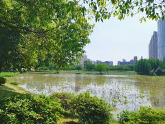 -艾溪湖湿地公园