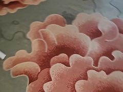 -广州克莱顿酒店