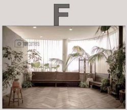 点击看大图 -大树儿童摄影