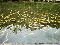 -本溪关山湖风景区