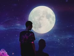 -火影忍者动画多媒体展