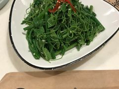 农家丝瓜苗-火齐潮汕砂锅粥(五道口店)