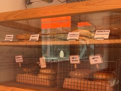 -Catch Bagel(芳草地店)