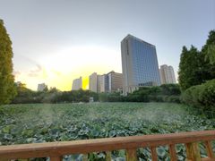 -黄兴公园