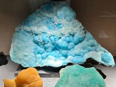 -中国地质博物馆