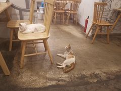 大堂-正南齐北·老街糯米团(洪崖洞店)
