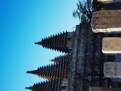 -北京石刻艺术博物馆(五塔寺)