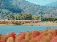 -径山花海
