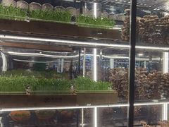 -大头椰·椰子鸡火锅(南宁万象城店)