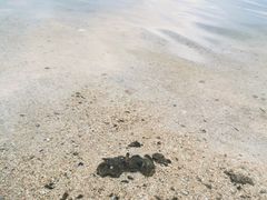 -美兰湖景区