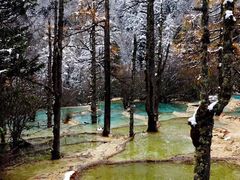 -黄龙山原始森林景区