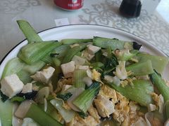 -陶然饺子城(奥体中路店)