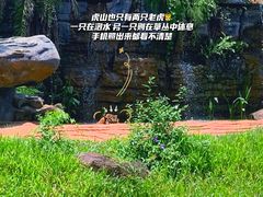 -海南热带野生动植物园