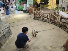 -正佳雨林生态植物园
