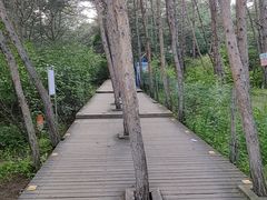 -帽儿山国家森林公园