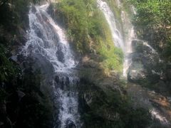 -呀诺达热带雨林
