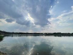 -丁香湖公园