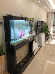 -VE专注问题肌·赛诺龙&科学美肤中心