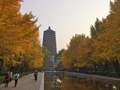 -玲珑塔公园