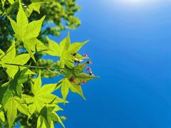 -大润发(梅兰东路店)