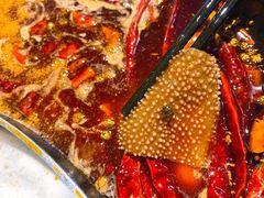 -销魂美蛙鱼头火锅(上海首店)