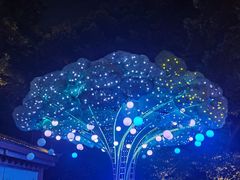 -杭州黄龙洞