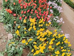 -石家庄市植物园