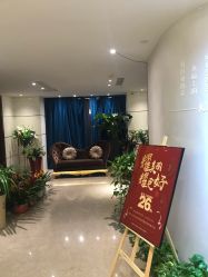 -金夫人美容