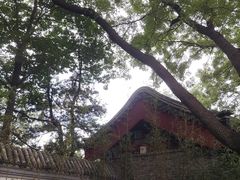 -宣武艺园