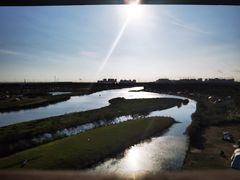 -春花秋色城市公园