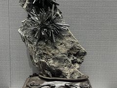 -湖南省地质博物馆