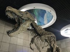 -诸城市恐龙博物馆