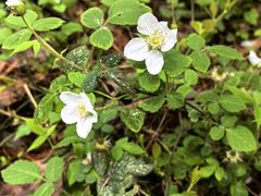 -大榭国际大酒店