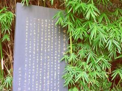 -大可堂普洱茶馆(襄阳南路馆)
