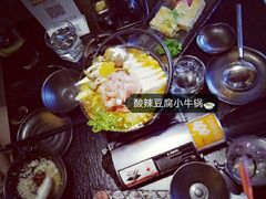 -春草居酒屋·晴子の店