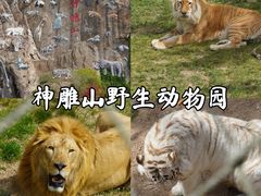 -西霞口神雕山野生动物世界