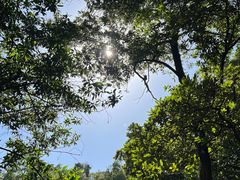 -火炉山森林公园