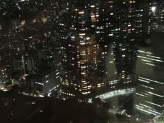 -东京都厅舍