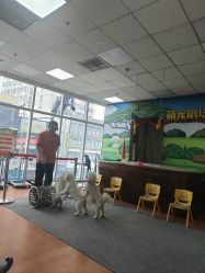 -未来动物城动物主题公园(大悦城店)