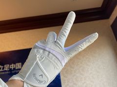 -万柳高尔夫俱乐部