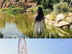 -芽庄珍珠岛游乐园