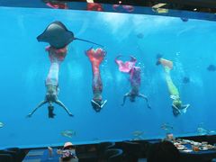 -瑞德姆美人鱼海底演艺主题餐厅(亚龙湾店)
