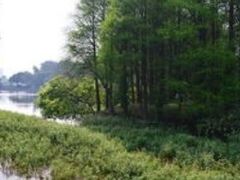 -洛阳白云山景区