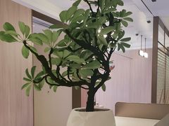 -海底捞火锅(高科广场店)