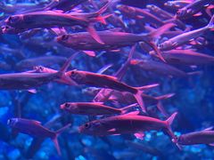 -成都浩海立方海洋公园