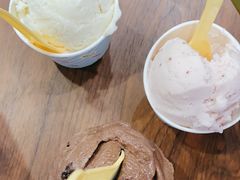 -Papa Gelato 纯手工冰淇淋