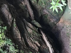 -龙水峡地缝景区