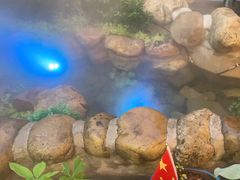 -后湖小院·乡野田园菜